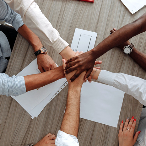 TMS_Fondazione_Mach Teamwork